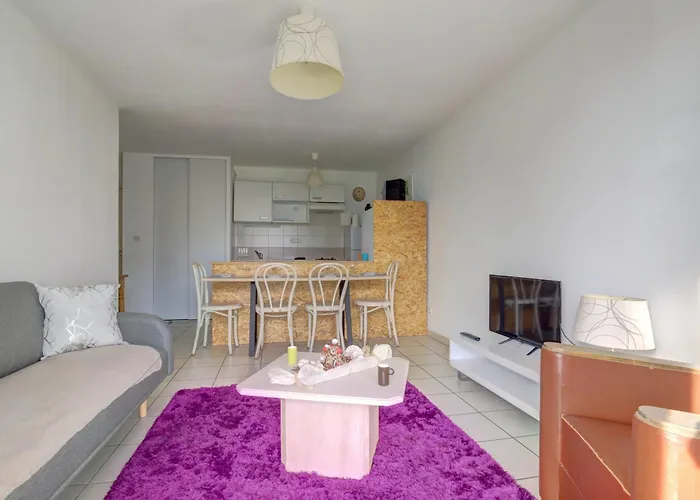 Le Virebent 3 Lits Parking Facile * Toulouse